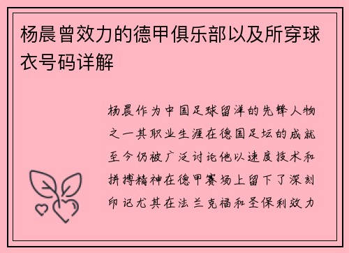 杨晨曾效力的德甲俱乐部以及所穿球衣号码详解